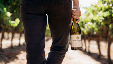 Cape Winelands photo